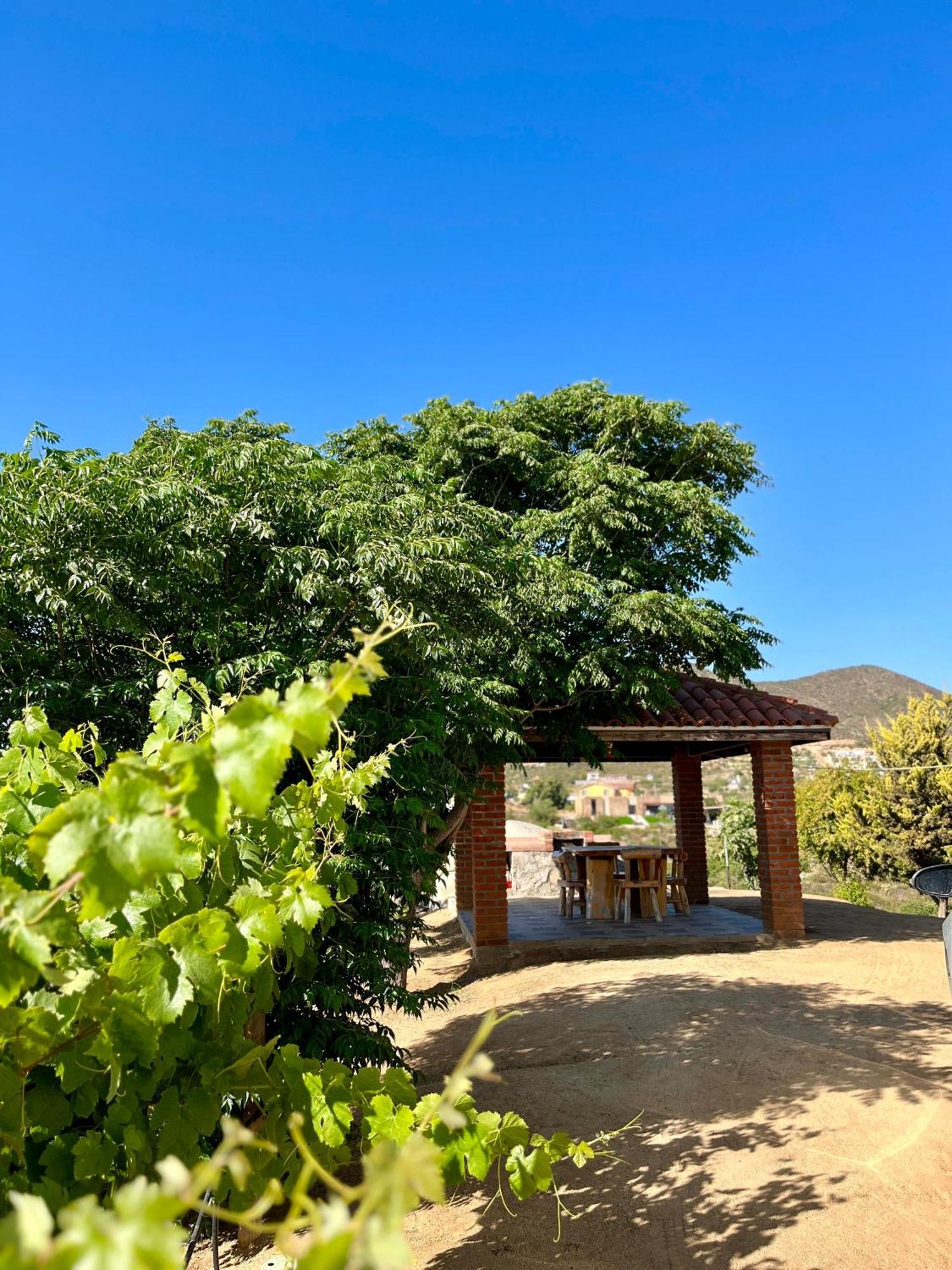 Cabanas Colibri Valle de Guadalupe Kültér fotó