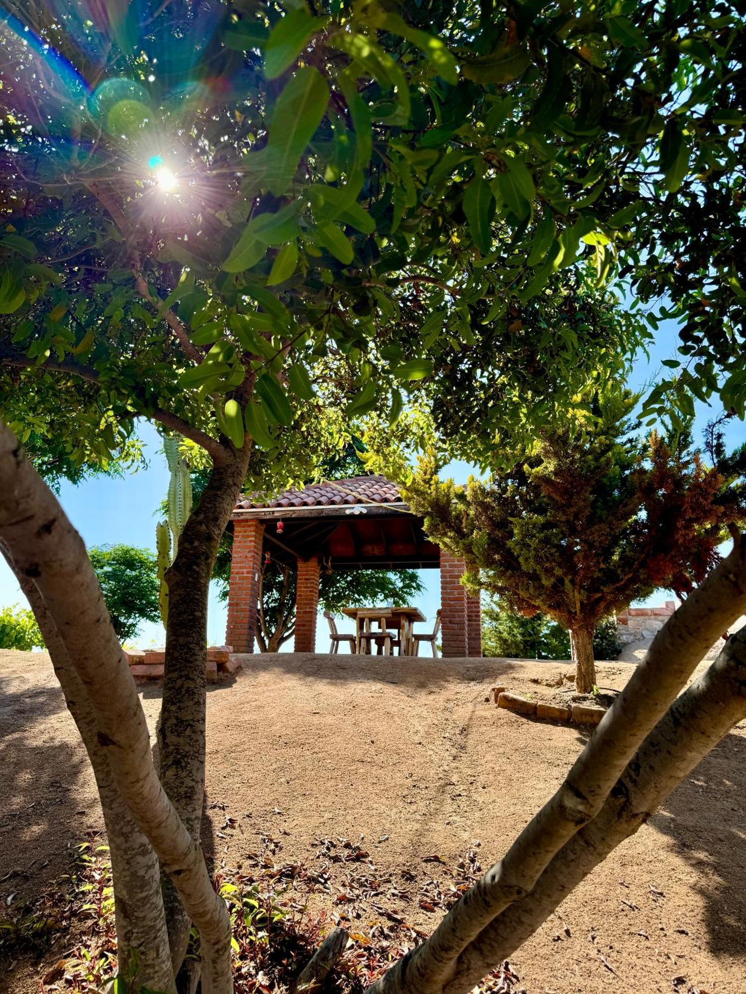 Cabanas Colibri Valle de Guadalupe Kültér fotó